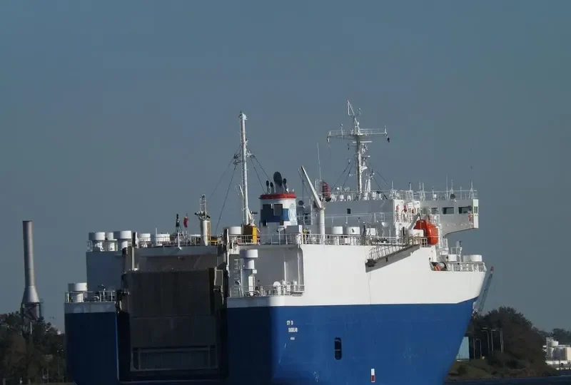 BRUISER Bulk Carrier IMO 9052721 photo 7