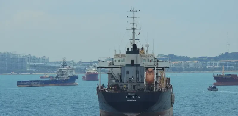 ASTRAEUS Bulk Carrier IMO 9052733 photo 5
