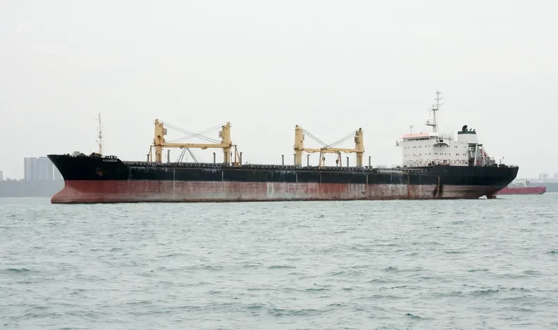 ASTRAEUS Bulk Carrier IMO 9052733 photo 7
