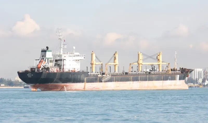 ASTRAEUS Bulk Carrier IMO 9052733 photo 8