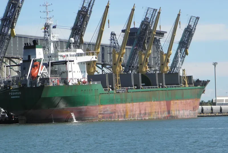 ASTRAEUS Bulk Carrier IMO 9052733 photo 10