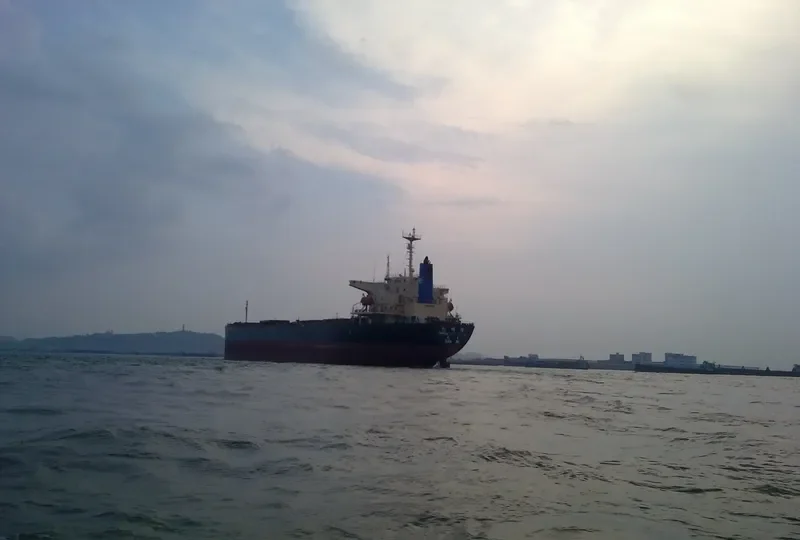 CHANG MING SHENG Bulk Carrier IMO 9052862