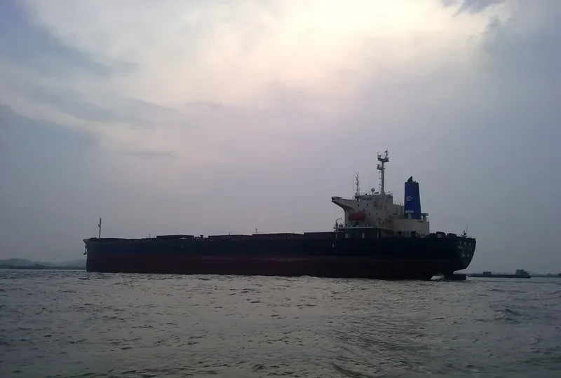 CHANG MING SHENG Bulk Carrier IMO 9052862 photo 2