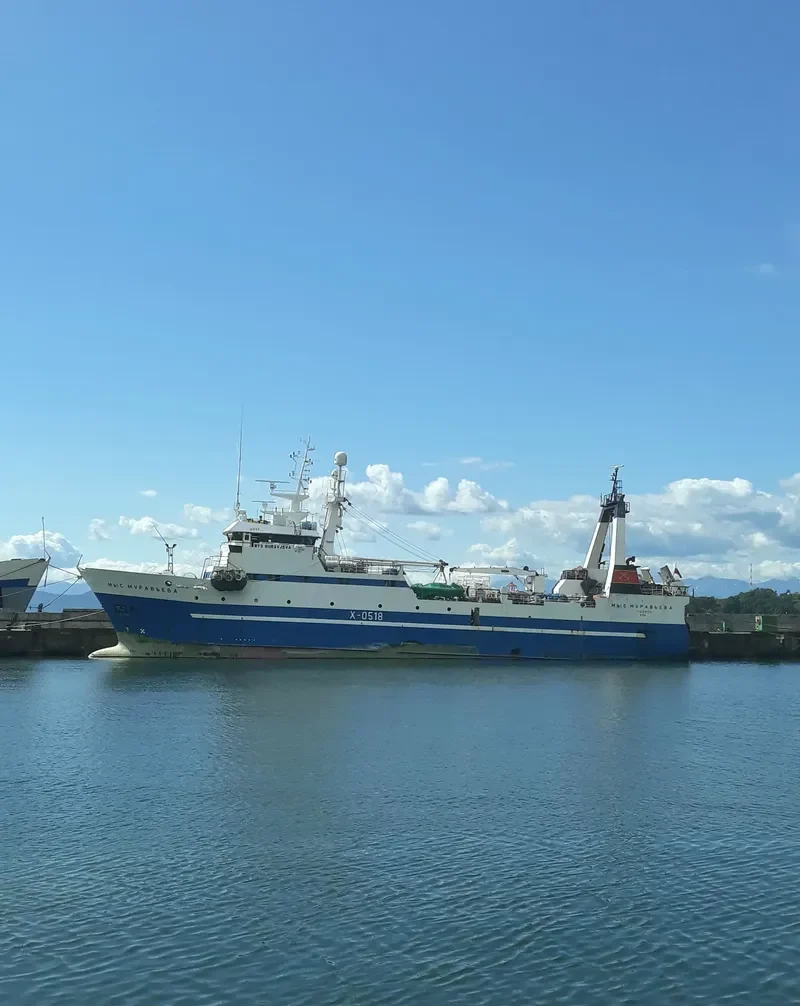 MYS MURAVJEVA General Cargo IMO 9053373 photo 4