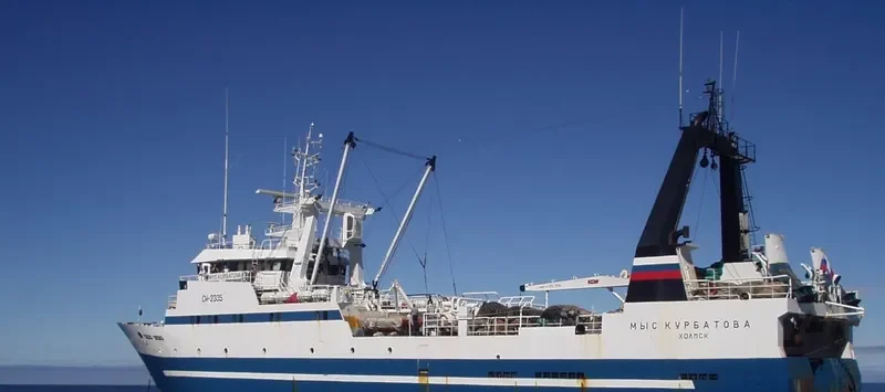 MYS KURBATOVA General Cargo IMO 9053397 photo 4