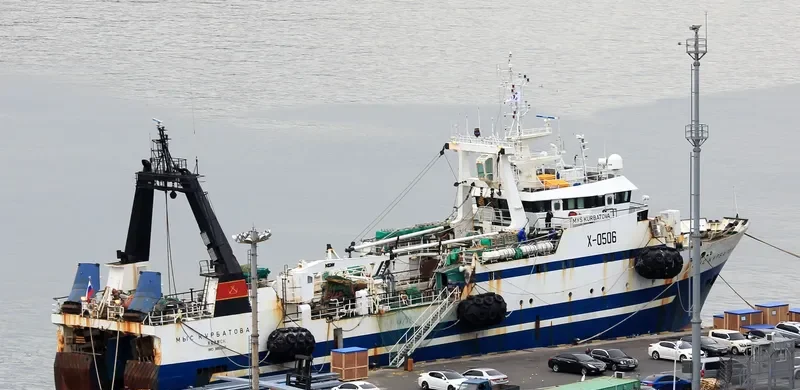 MYS KURBATOVA General Cargo IMO 9053397 photo 6