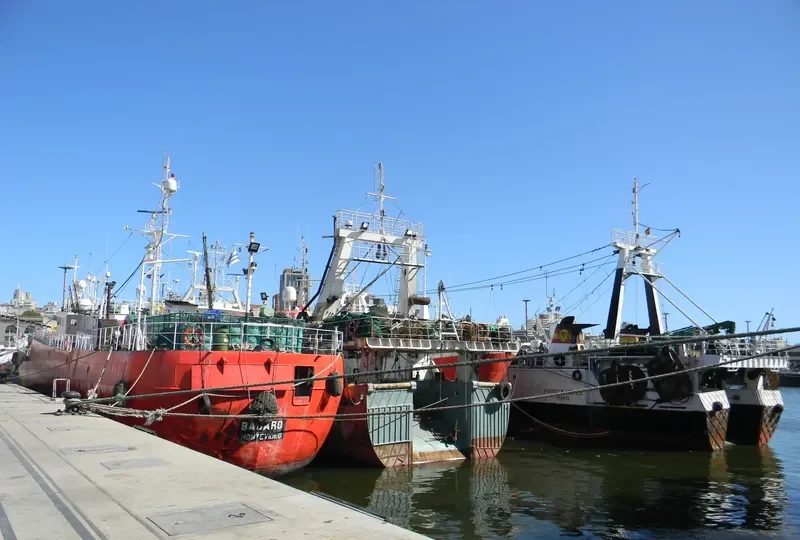 BADARO General Cargo IMO 9053464