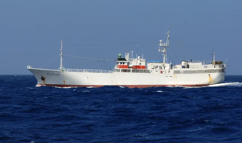 TAIWA MARU NO.88 General Cargo IMO 9053488 photo 6