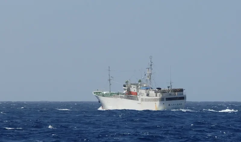 TAIWA MARU NO.88 General Cargo IMO 9053488 photo 7