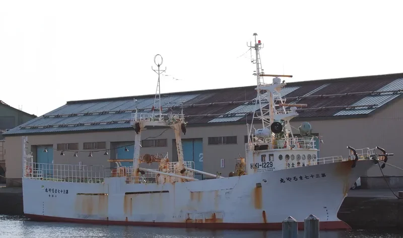 MARUYA MARU NO.37 General Cargo IMO 9053610