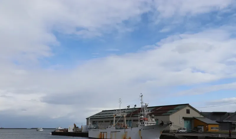 MARUYA MARU NO.37 General Cargo IMO 9053610 photo 2