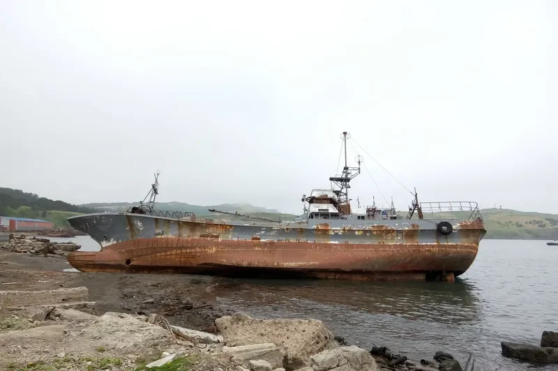 FIOLENT General Cargo IMO 9053646 photo 2
