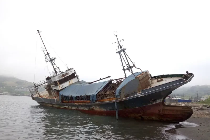 FIOLENT General Cargo IMO 9053646 photo 4