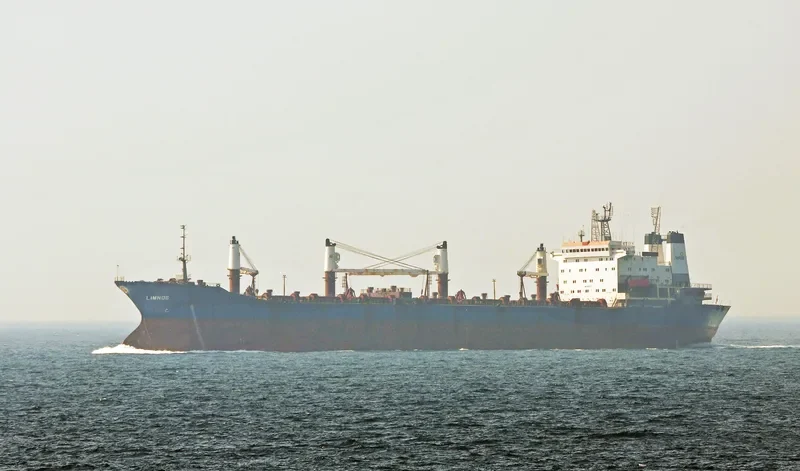 LIMNOS Bulk Carrier IMO 9053775