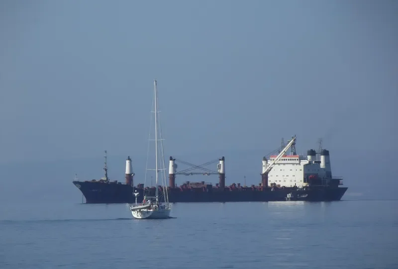 LIMNOS Bulk Carrier IMO 9053775 photo 6