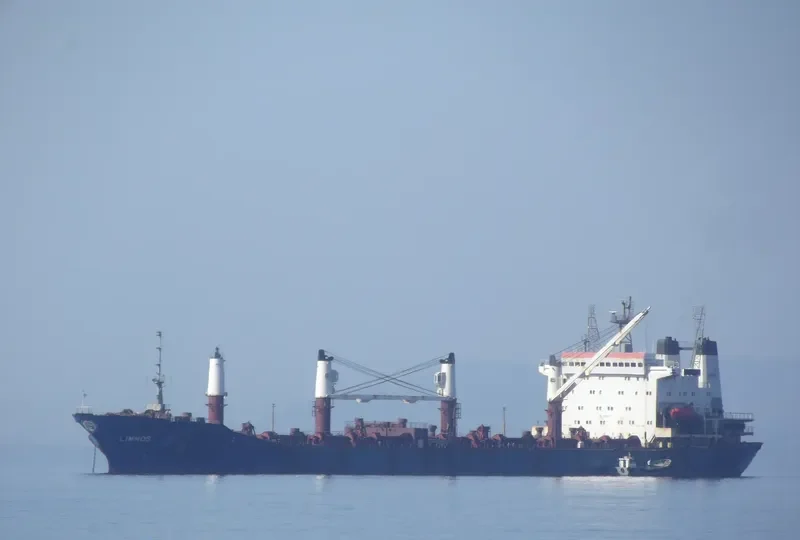 LIMNOS Bulk Carrier IMO 9053775 photo 7