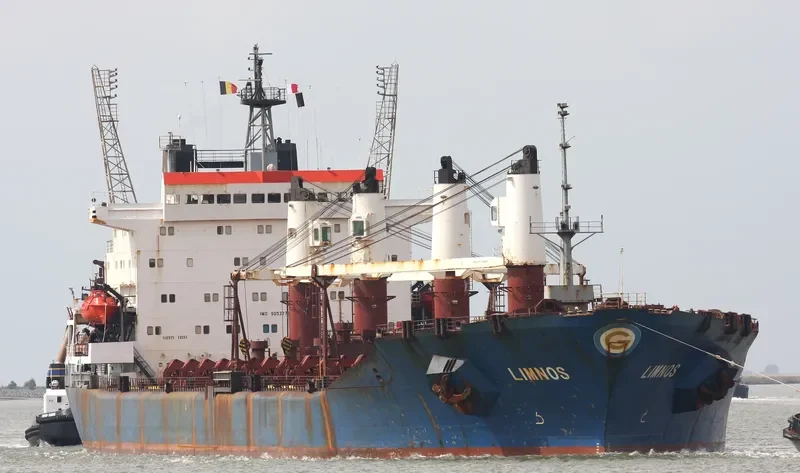 LIMNOS Bulk Carrier IMO 9053775 photo 8