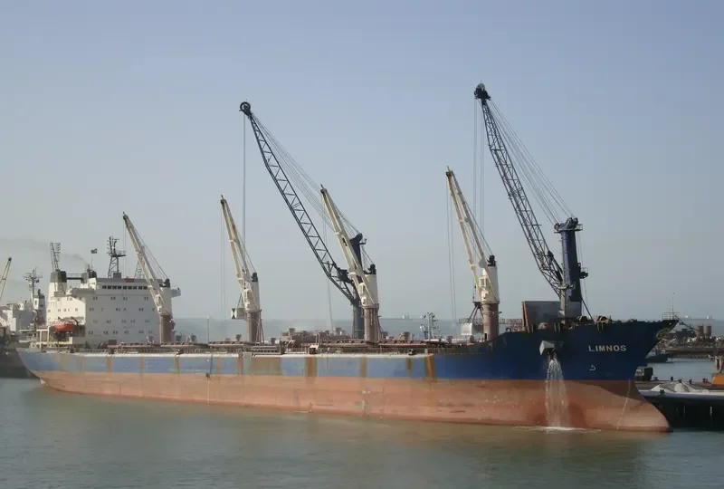 LIMNOS Bulk Carrier IMO 9053775 photo 10