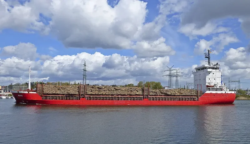 BEATA General Cargo IMO 9053828 photo 9