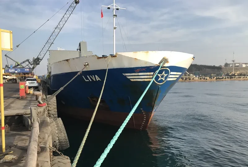 LIVA General Cargo IMO 9053907 photo 2