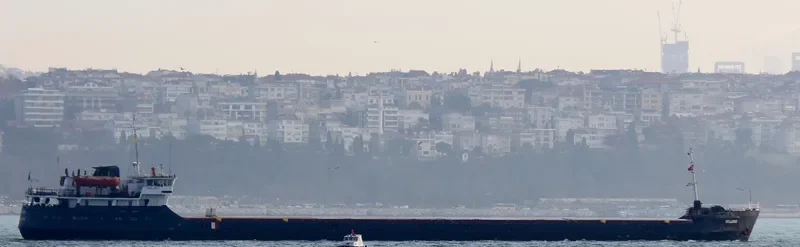 LIVA General Cargo IMO 9053907 photo 4