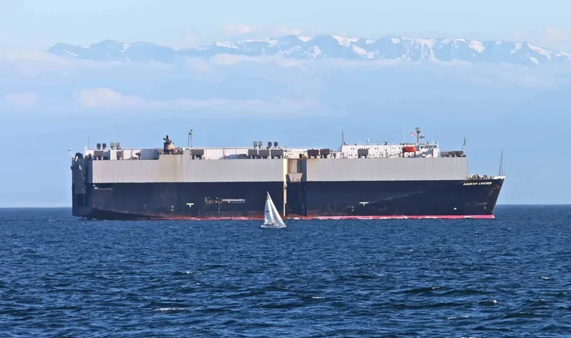 AEGEAN LEADER General Cargo IMO 9054119 photo 10