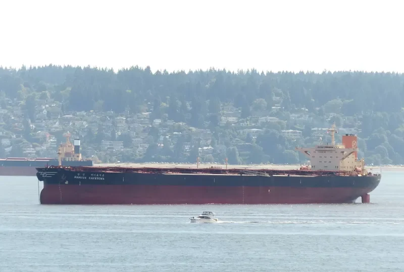 CADET Bulk Carrier IMO 9054224 photo 3