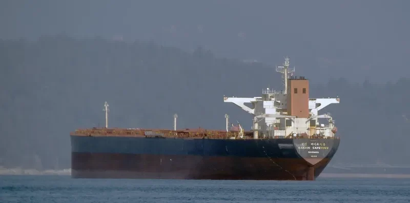 CADET Bulk Carrier IMO 9054224 photo 4
