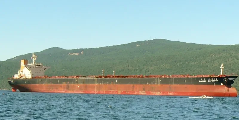 CADET Bulk Carrier IMO 9054224 photo 6