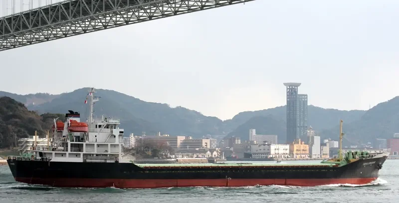 UN BONG 1 General Cargo IMO 9054688 photo 3
