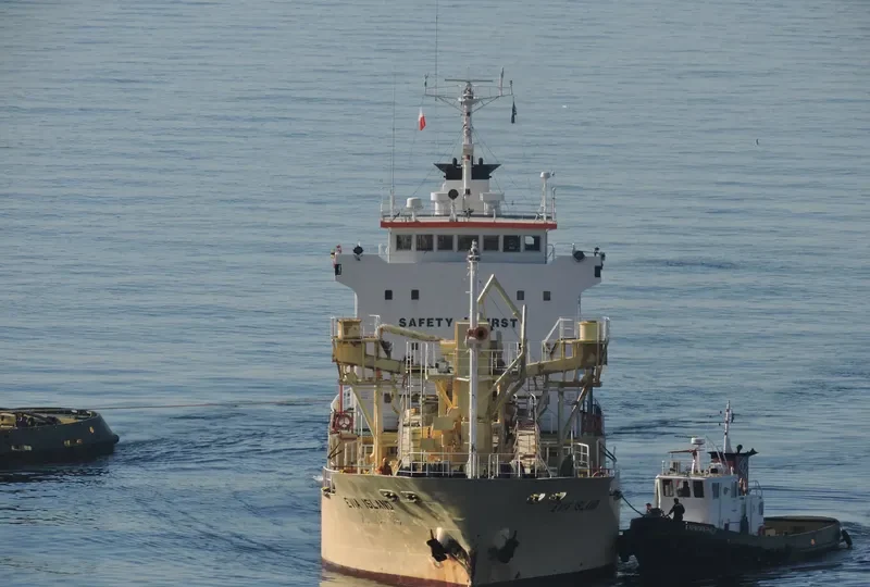 EVIA ISLAND General Cargo IMO 9054731 photo 3