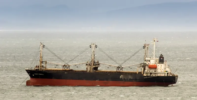 TOYO HARU General Cargo IMO 9054767 photo 2
