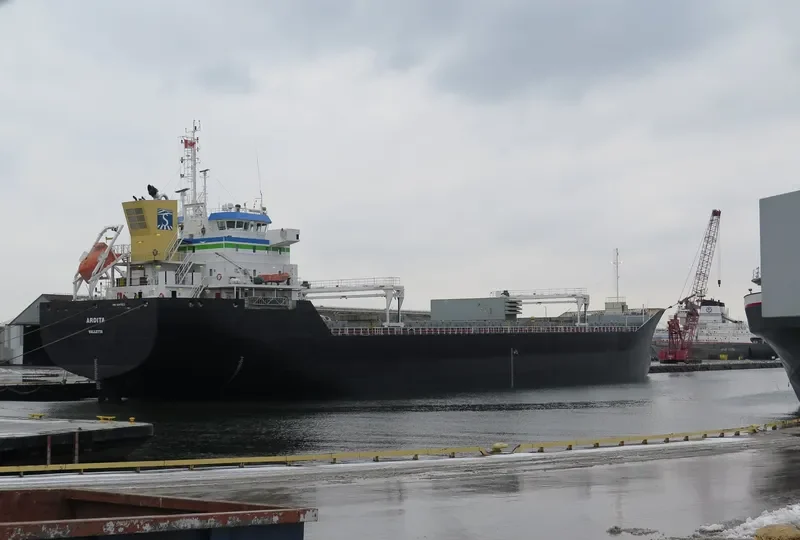 TOMI HARU General Cargo IMO 9054779