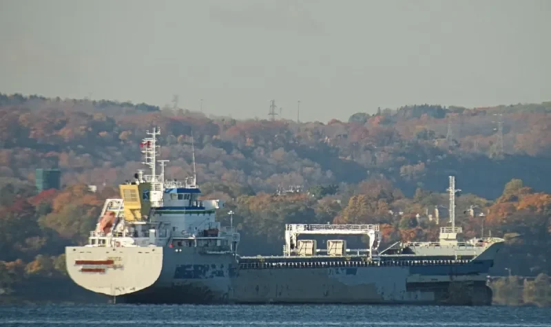 TOMI HARU General Cargo IMO 9054779 photo 2