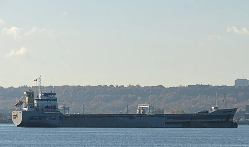 TOMI HARU General Cargo IMO 9054779 photo 3