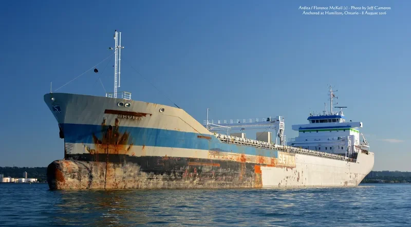 TOMI HARU General Cargo IMO 9054779 photo 5