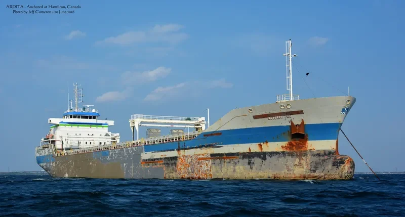 TOMI HARU General Cargo IMO 9054779 photo 7