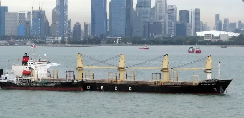 PHUONG DONG 06 Bulk Carrier IMO 9054846 photo 2