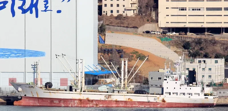HATSUKARI General Cargo IMO 9054858