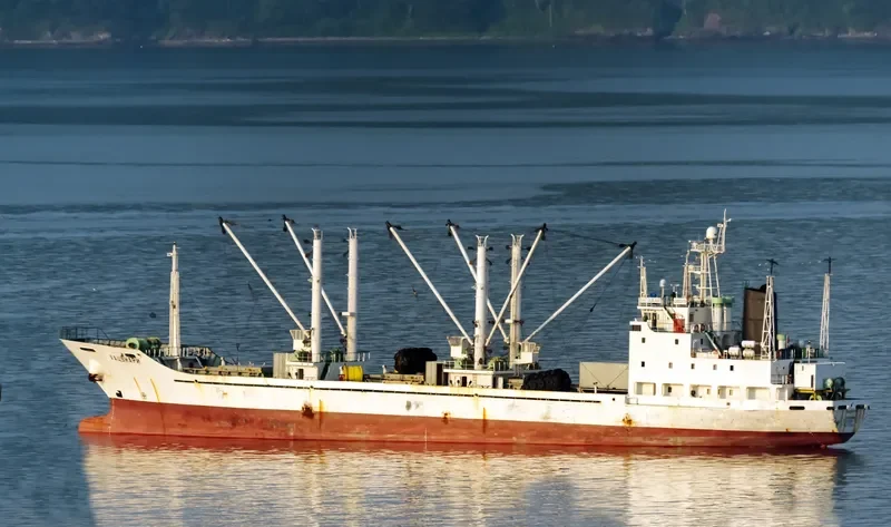 HATSUKARI General Cargo IMO 9054858 photo 8