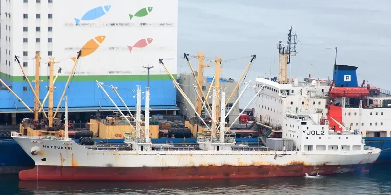 HATSUKARI General Cargo IMO 9054858 photo 10