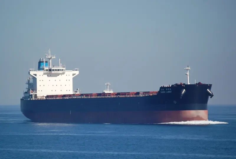 SENTOSA 207 General Cargo IMO 9054860 photo 3