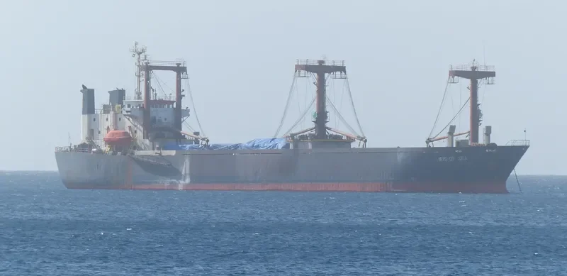 IRIS OF SEA Ro-Ro IMO 9054937
