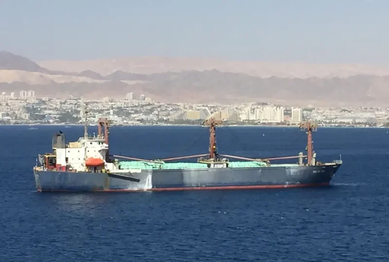 IRIS OF SEA Ro-Ro IMO 9054937 photo 3