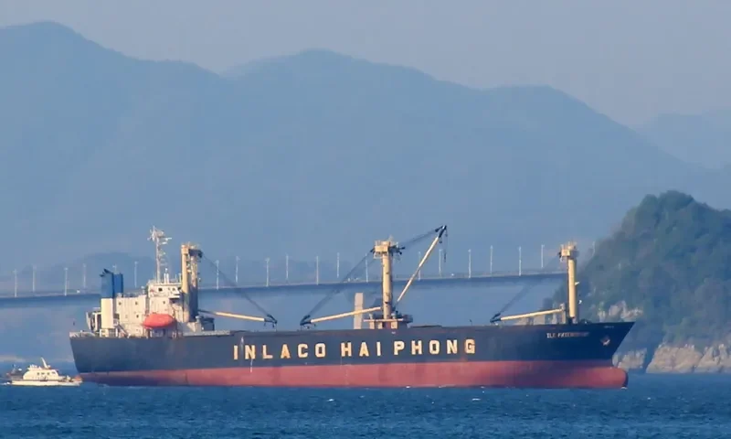IRIS OF SEA Ro-Ro IMO 9054937 photo 5