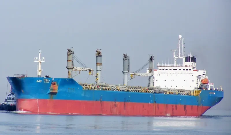 SAO LUIZ Bulk Carrier IMO 9055113 photo 2