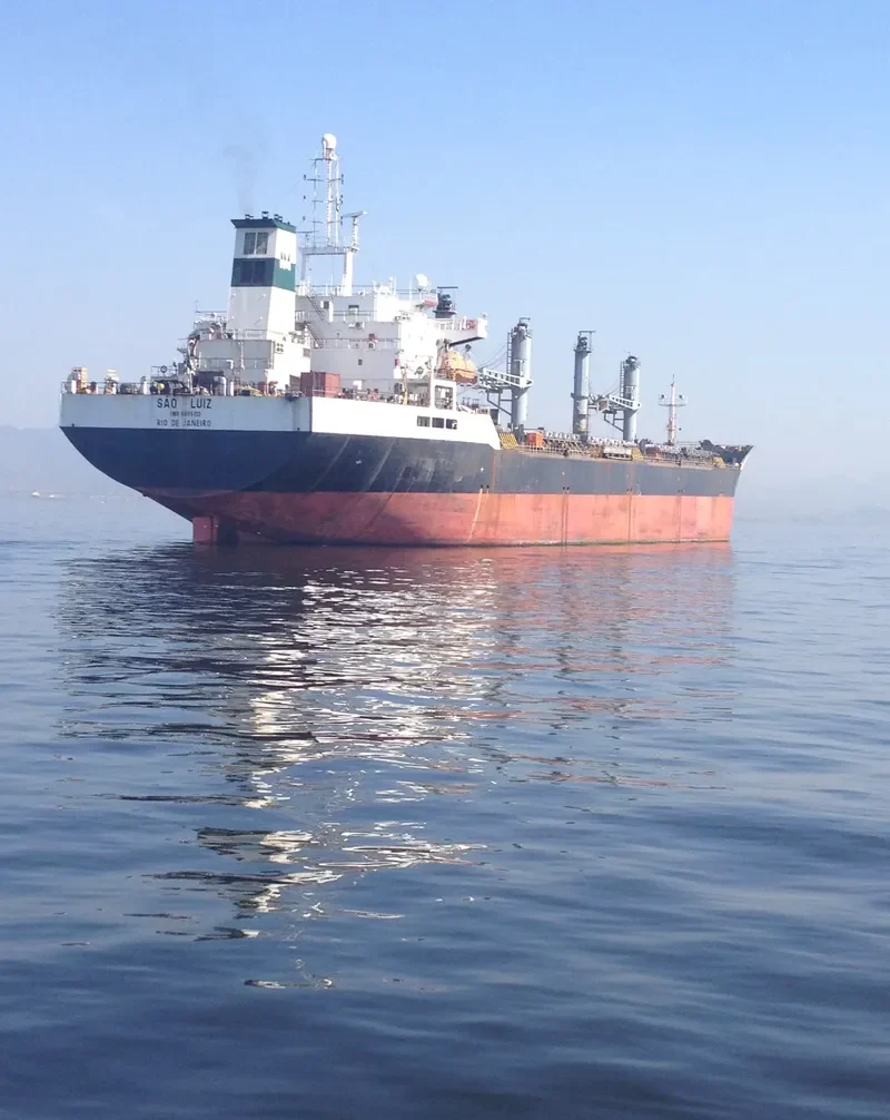 SAO LUIZ Bulk Carrier IMO 9055113 photo 4