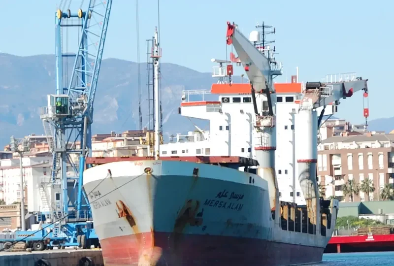 MERSA ALAM General Cargo IMO 9055175 photo 8