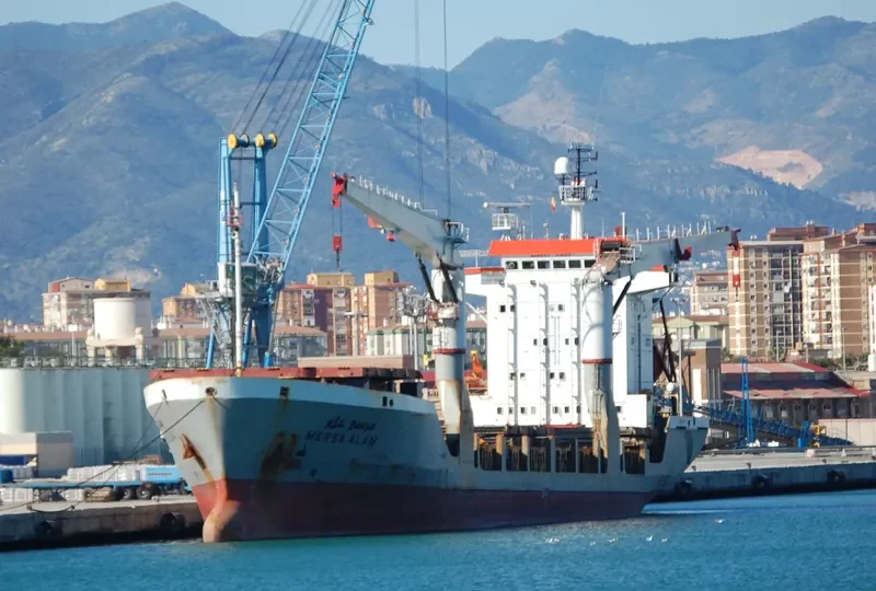 MERSA ALAM General Cargo IMO 9055175 photo 9
