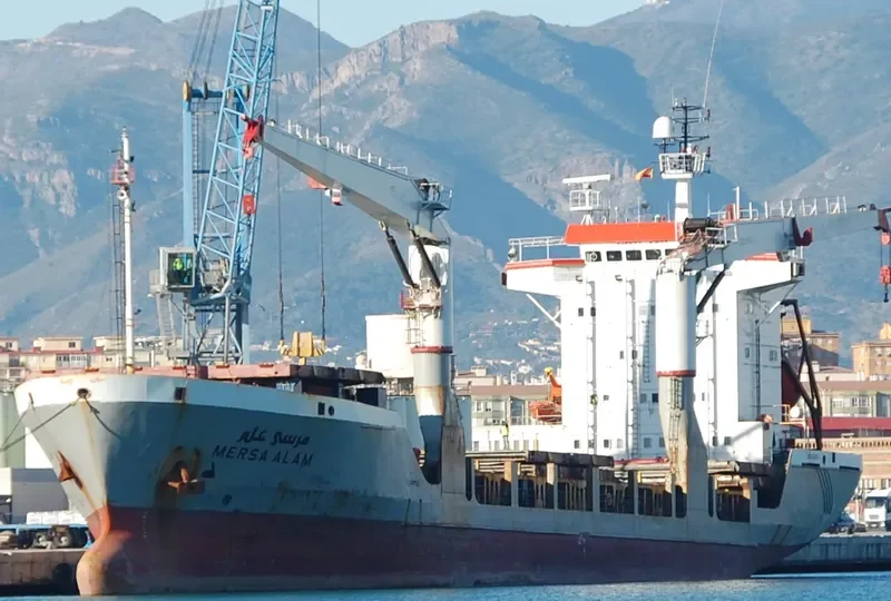 MERSA ALAM General Cargo IMO 9055175 photo 10